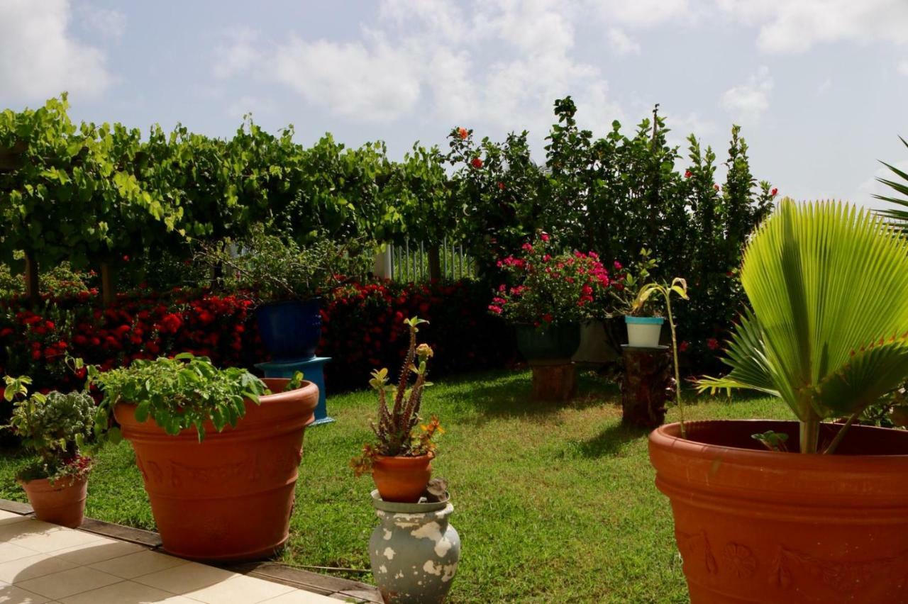 Bed & Breakfast 6 Suites Piscine Et Plage Pointe Faula เลอโวแกล็ง ภายนอก รูปภาพ